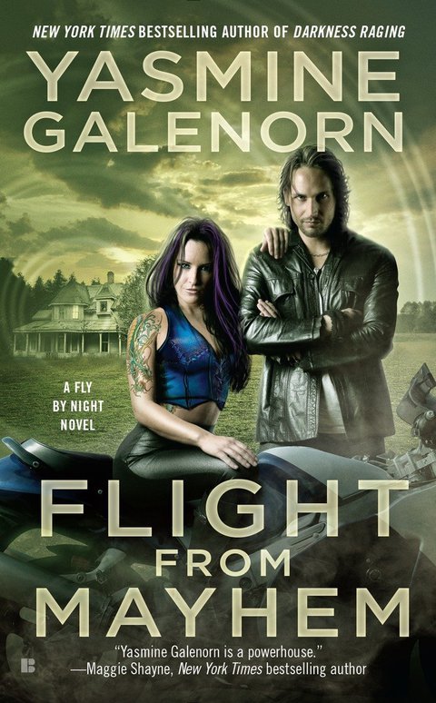 Cover image for book Flight from Mayhem