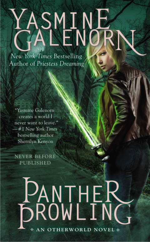 Cover image for book Panther Prowling