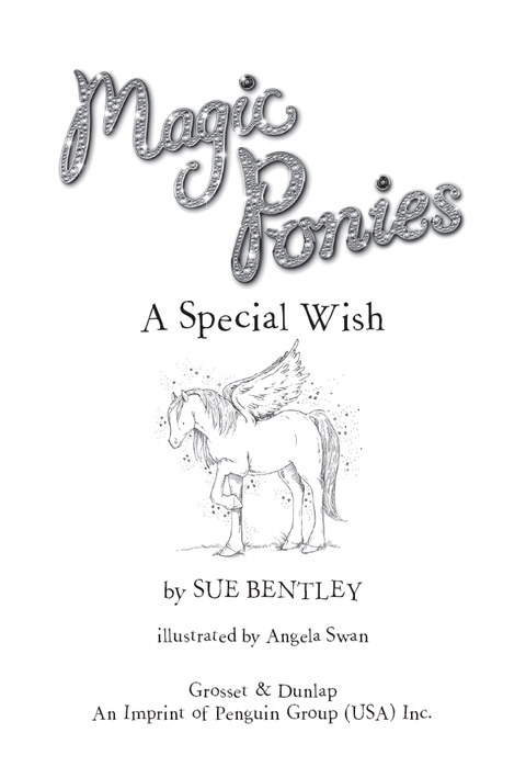 Cover image for book A Special Wish #2
