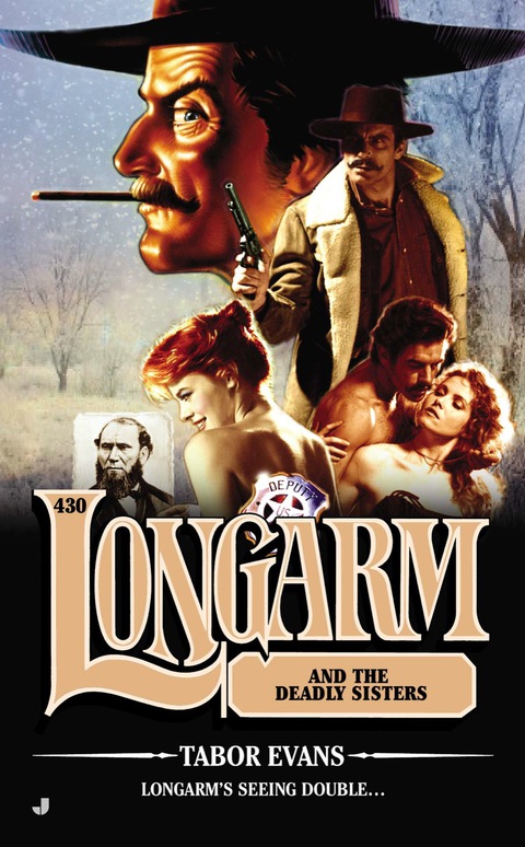 Cover image for book Longarm #430