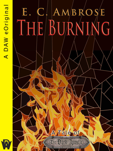 Cover image for book The Burning