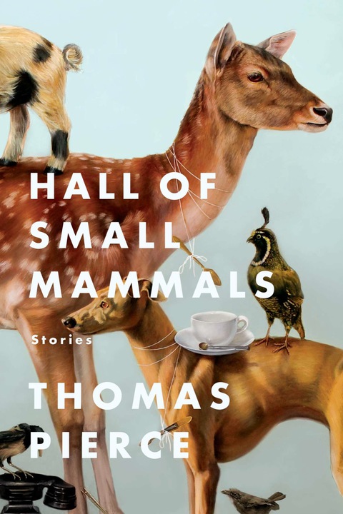 Cover image for book Hall of Small Mammals