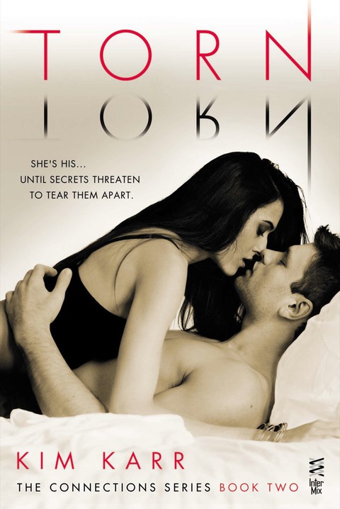 Cover image for book Torn