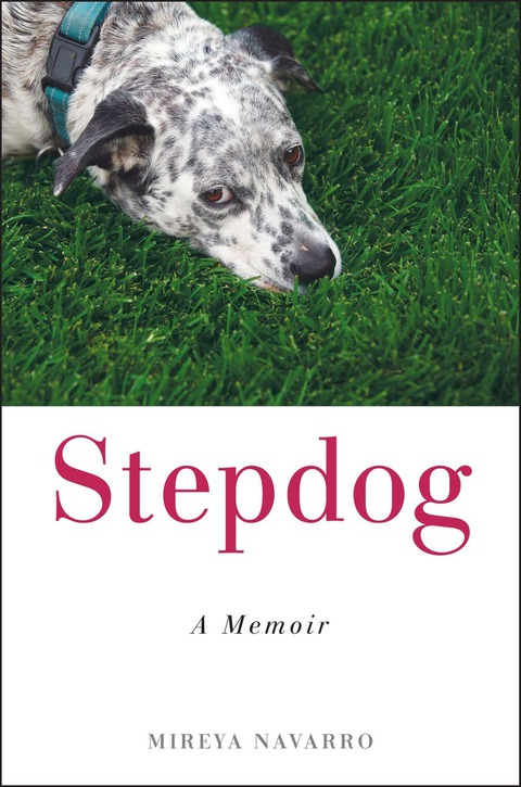 Cover image for book Stepdog