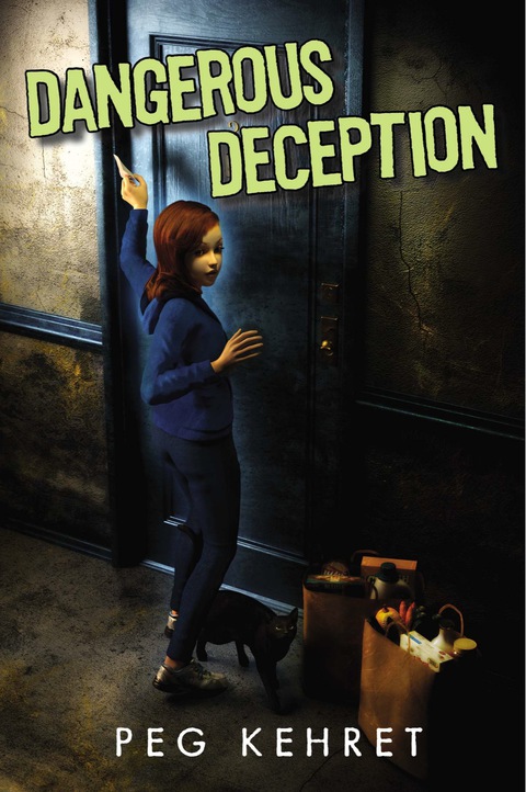 Cover image for book Dangerous Deception