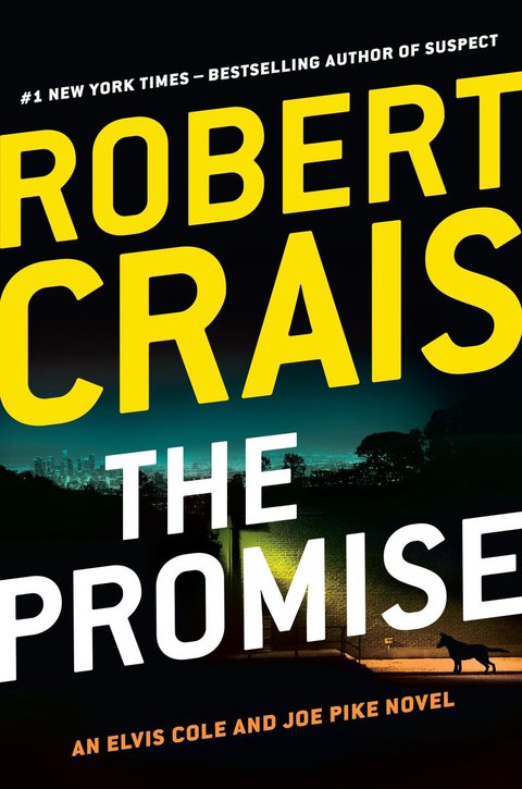 Cover image for book The Promise