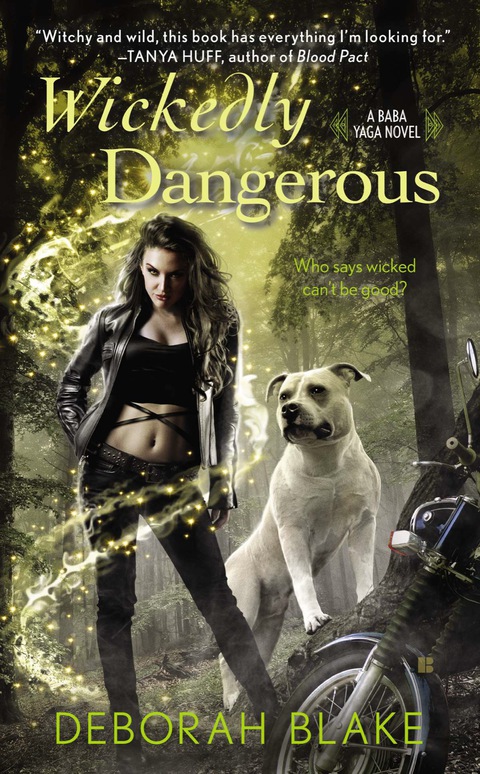 Cover image for book Wickedly Dangerous