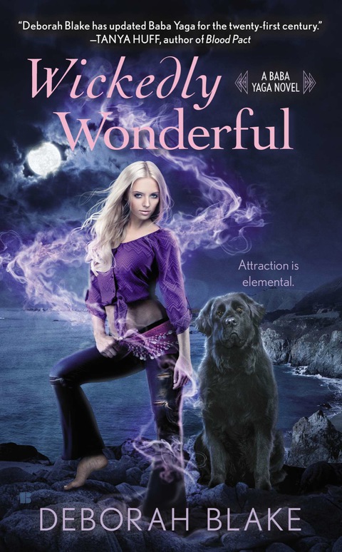 Cover image for book Wickedly Wonderful