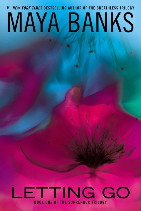 Cover image for book Letting Go