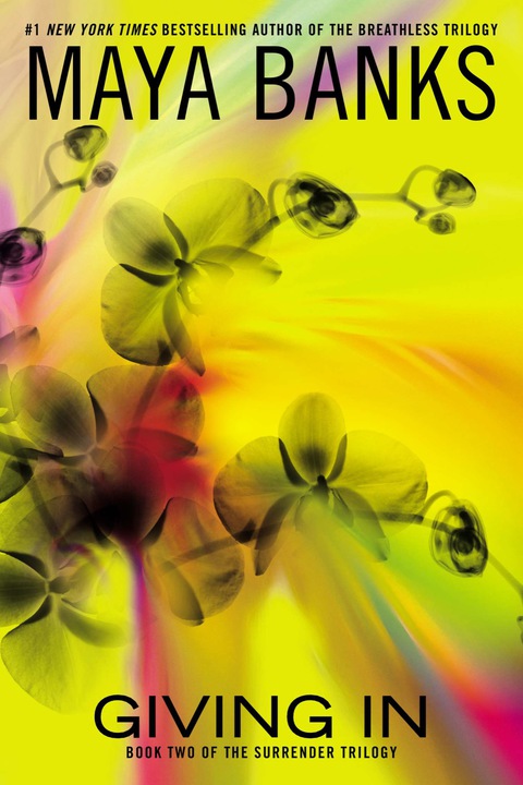 Cover image for book Giving In