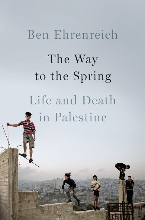 Cover image for book The Way to the Spring
