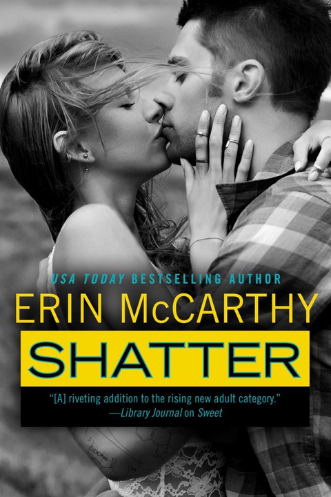 Cover image for book Shatter