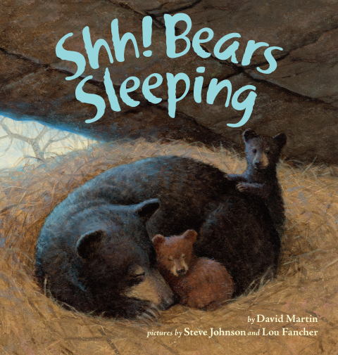 Cover image for book Shh! Bears Sleeping
