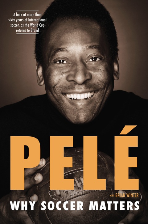 Cover image for book Why Soccer Matters