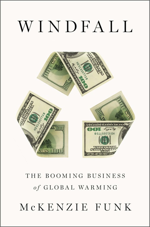 Cover image for book Windfall