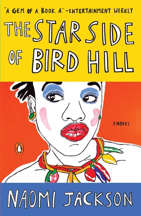 Cover image for book The Star Side of Bird Hill