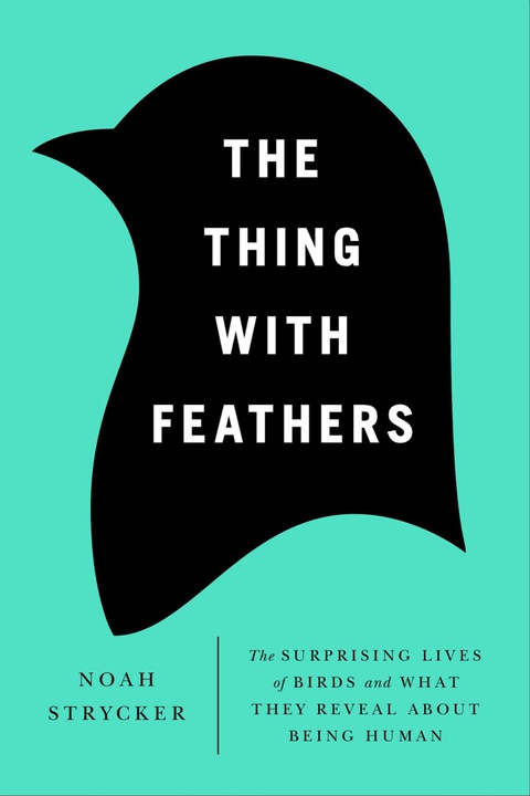 Cover image for book The Thing with Feathers