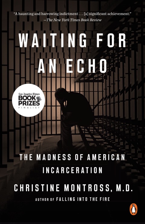 Cover image for book Waiting for an Echo