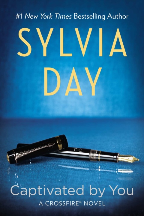 Cover image for book Captivated by You