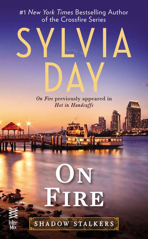 Cover image for book On Fire