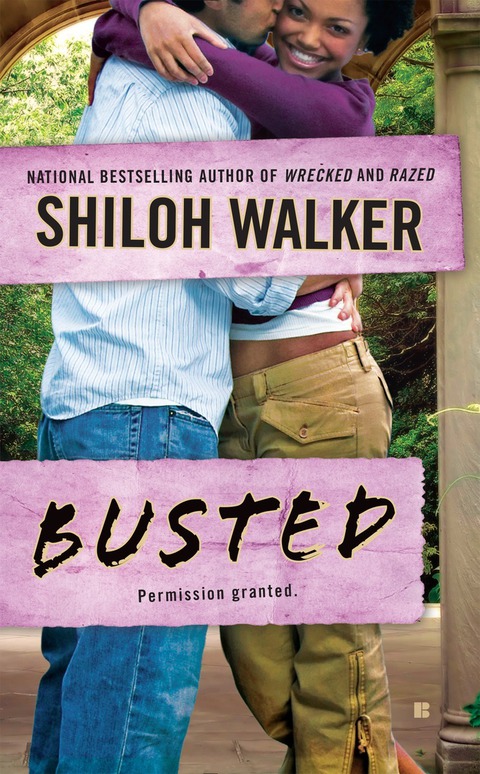 Cover image for book Busted
