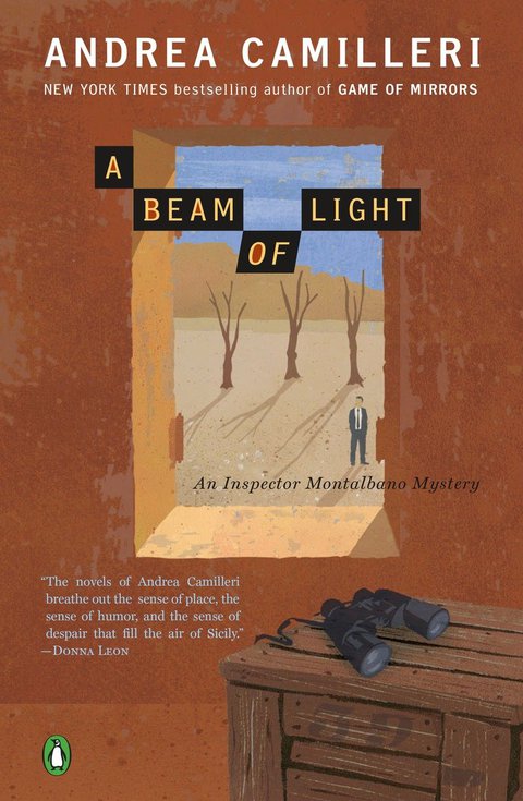 Cover image for book A Beam of Light