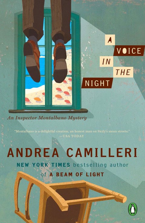Cover image for book A Voice in the Night