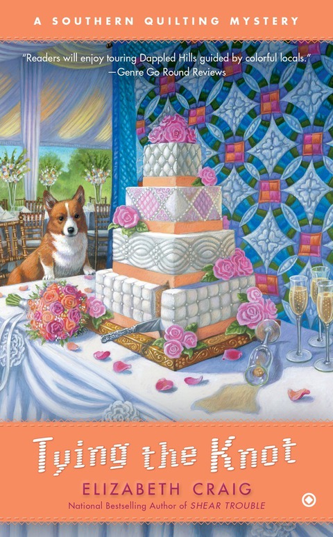 Cover image for book Tying the Knot