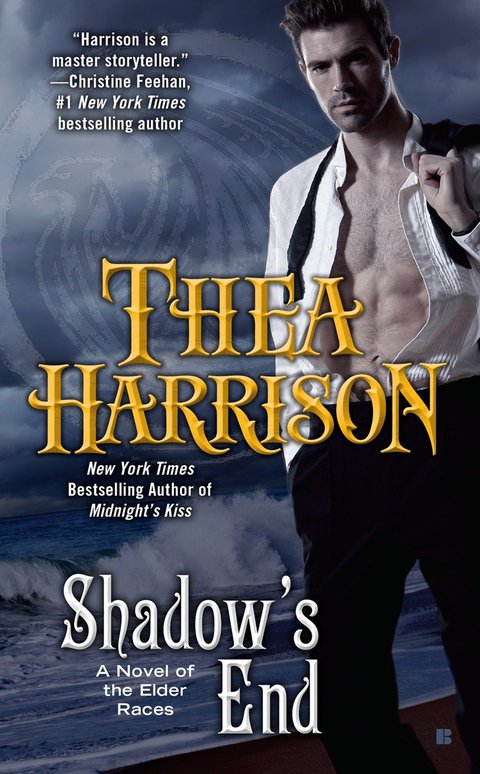 Cover image for book Shadow's End