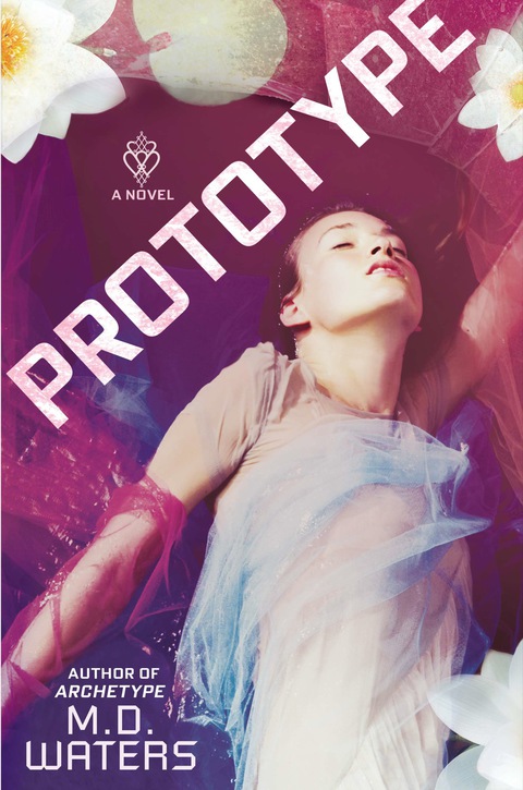 Cover image for book Prototype