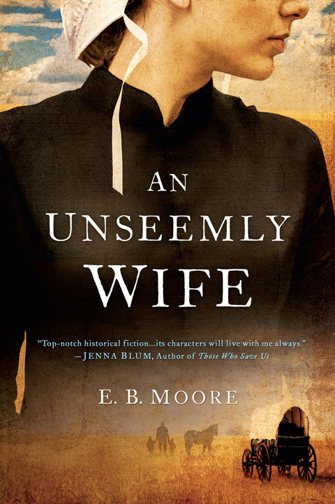 Cover image for book An Unseemly Wife