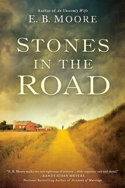 Cover image for book Stones in the Road