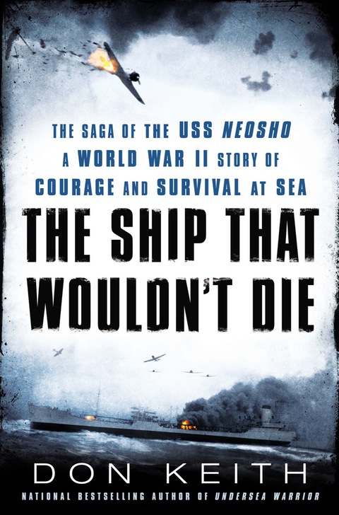 Cover image for book The Ship That Wouldn't Die