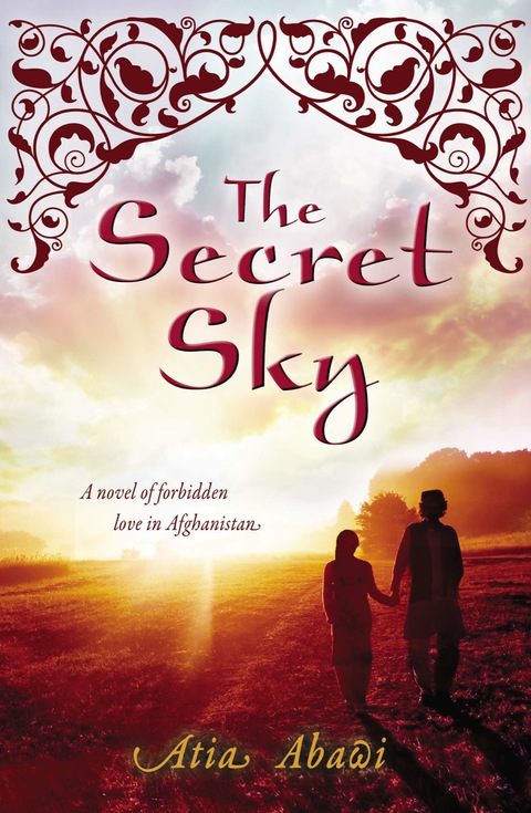 Cover image for book The Secret Sky