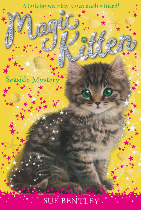 Cover image for book Seaside Mystery #9
