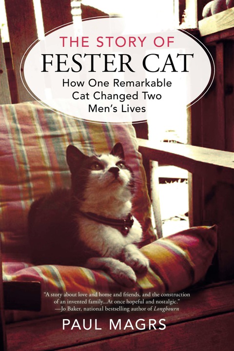 Cover image for book The Story of Fester Cat