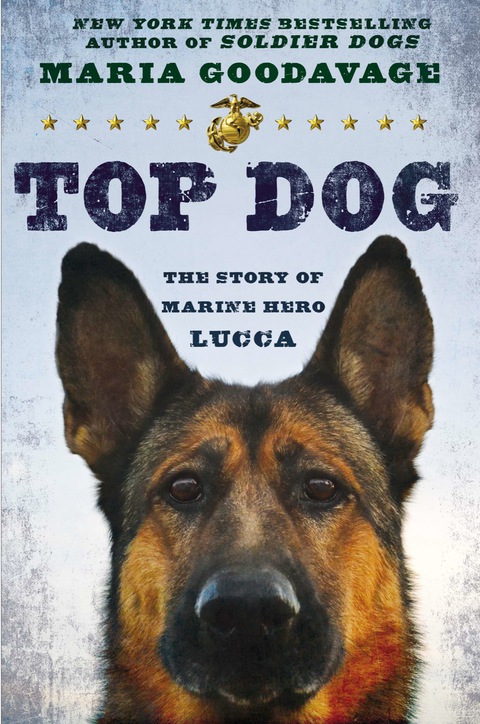 Cover image for book Top Dog