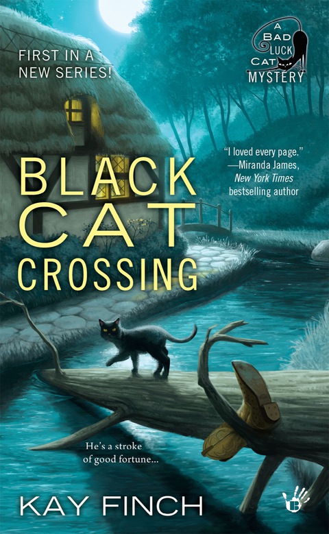 Cover image for book Black Cat Crossing