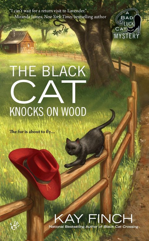 Cover image for book The Black Cat Knocks on Wood