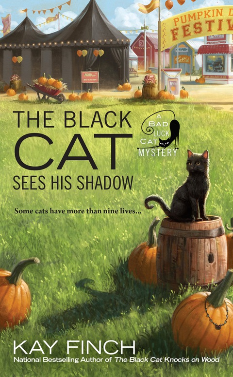 Cover image for book The Black Cat Sees His Shadow