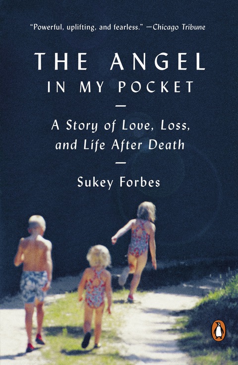 Cover image for book The Angel in My Pocket