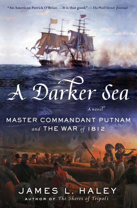 Cover image for book A Darker Sea