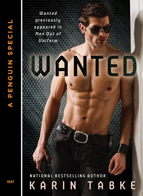 Cover image for book Wanted