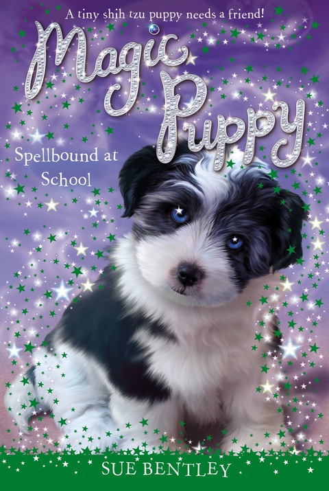 Cover image for book Spellbound at School #11