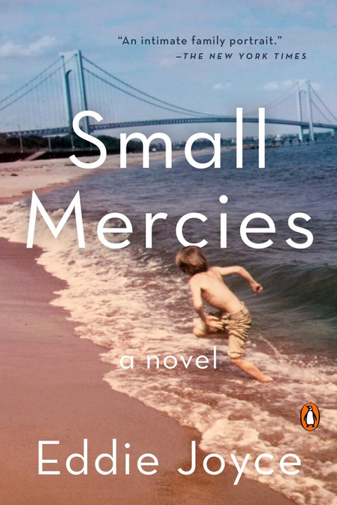 Cover image for book Small Mercies