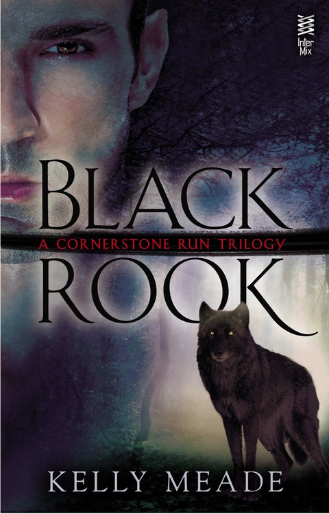 Cover image for book Black Rook