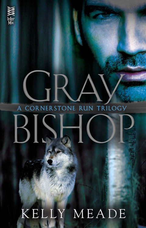 Cover image for book Gray Bishop