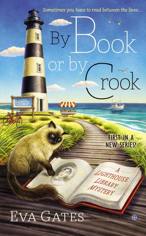 Cover image for book By Book or By Crook