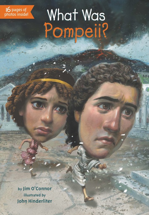 Cover image for book What Was Pompeii?