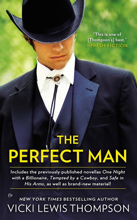 Cover image for book The Perfect Man